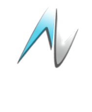PUNEVILLE Logo